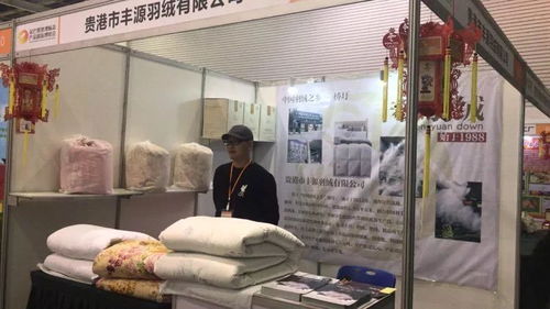 助力精准扶贫服务乡村振兴 广西地理标志产品齐聚湖南长沙首届金芒果地理标志产品国际博览会会展服务